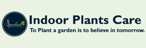 indoor-plants-care